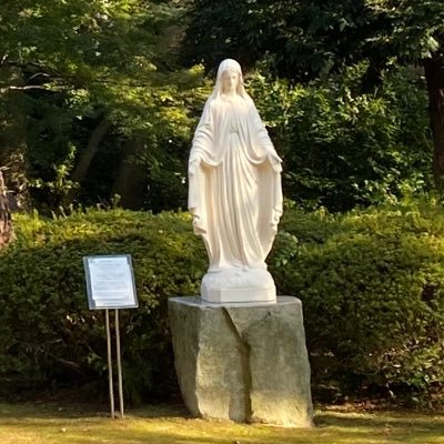 lonelyskater420's profile picture. 引き垢！🍯大好き！🥦大好き！  レビューなどお任せ下さい！笑