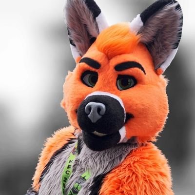 Fox | Male | 27 | bachelor engineer |Huggable 

🦊@TheKarelia