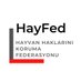 HayFed-Hayvan Haklarını Koruma Federasyonu (@Hayfed_Official) Twitter profile photo