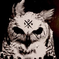 Blacky(@depression_owl) 's Twitter Profile Photo