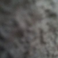 shjsyer4 (@cgrjwk) Twitter profile photo