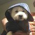 Andy ใใ (@chief_minister_) Twitter profile photo Andy ใใ (@chief_minister_) Twitter profile photo