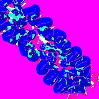 Ramsey Lab (@ramsey_lab) 's Twitter Profile Photo