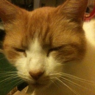 ShellyR83's profile picture. 