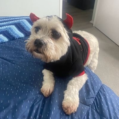 TheMetalhead11's profile picture. Death Metal & Gaming