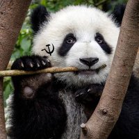 Strike Panda Mel(@PandaStrikeQMUL) 's Twitter Profile Photo