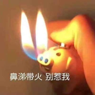 Fiumeさんのプロフィール画像