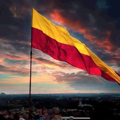 reply kannada