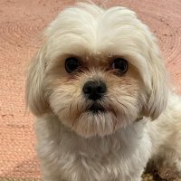 Odie D (@defabstar1) 's Twitter Profile