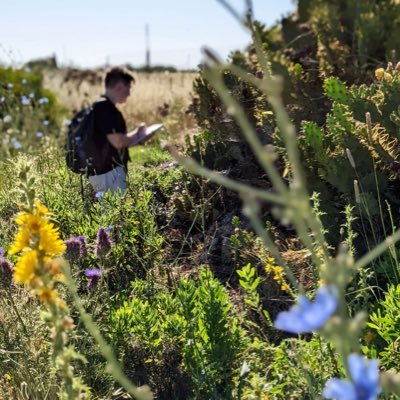 Agricultural entomologist researching the use of group-living spiders as biological control agents 🕷️🕸️