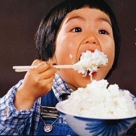 susibarsusidar's profile picture. まさかの第4の人生が始まった。
現在、無職、母親と同居、大阪ぐらし。生まれ育ちは北海道。北海道在住期間が人生のほとんど。
障害でままならない体を引きずって奮闘中。
犬も猫も好きです。犬は大体好きですがひらべったい顔の犬、特にシーズーが好きです。猫はペルシャみたいな長い毛の子が好きですがアレルギーありますｗ