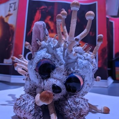 laencinamagica's profile picture. 