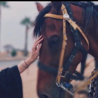 أماني🕊️ (@fajeralomneat) 's Twitter Profile Photo أماني🕊️ (@fajeralomneat) 's Twitter Profile Photo