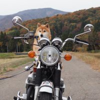 Yuukas (@yuucharoru) Twitter profile photo