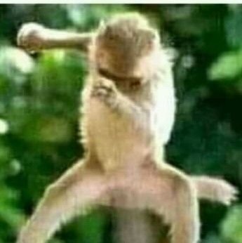 Shabba67607154's profile picture. Construction Manager....