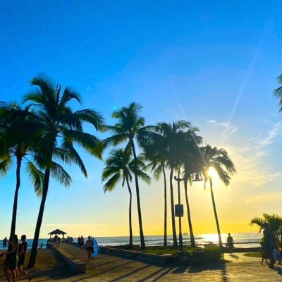 cocoa94047673's profile picture. 