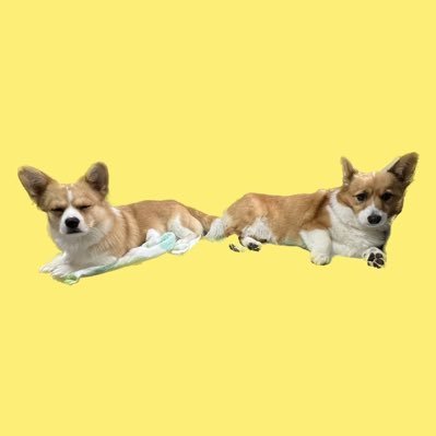 かりん&みかん&一児のママ 見る専になってたアカウントを再始動します! 欲しいものリスト→ https://t.co/o0vgyMTlDw