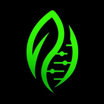 PhenoHuntr's profile picture. Breeder/Cultivator 🫘🇨🇦 
Top Quality/Preservation🧬
Flavor Chaser 🦨⛽️🍭🍓🍇🍊🍌🍎