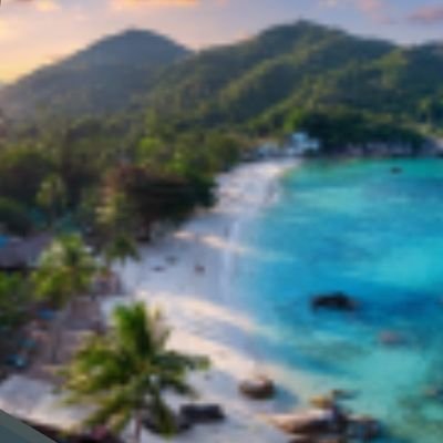 tedi97782287's profile picture. NFT lover
Crypto lover