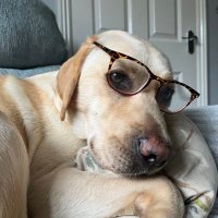 Mrs M (@jacqs75) 's Twitter Profile