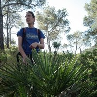 El Brogit Guiatges (@elbrogit) 's Twitter Profile