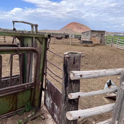 cj884014's profile picture. hopeful human. married. we need more Zig Ziglar