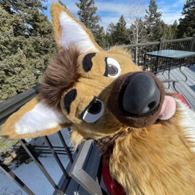 I'm a shep that is stinky and loves disc golf, fighting games and baseball a little too much.