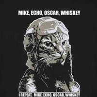 bob verde (@verdebob2) 's Twitter Profile