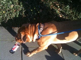 LisaAWWest's profile picture. 