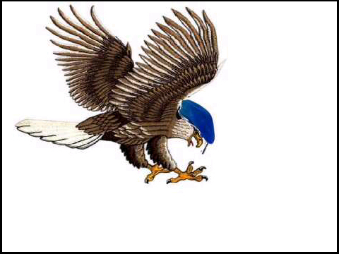 benin31's profile picture. 