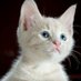 Filbao (@filbao1) Twitter profile photo Filbao (@filbao1) Twitter profile photo