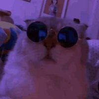 braeden (@braedenfps) 's Twitter Profile