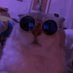 braeden (@braedenfps) Twitter profile photo braeden (@braedenfps) Twitter profile photo