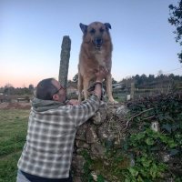 Rúben Rodrigues (@ruben6rodrigues) 's Twitter Profile