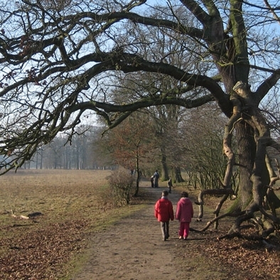 (Stads)ecoloog; natuurgids; passie voor zingen; een dag niet buiten geweest, is een dag niet geleefd