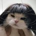 (◕ᴗ◕✿) (@cutenaginanon) Twitter profile photo (◕ᴗ◕✿) (@cutenaginanon) Twitter profile photo