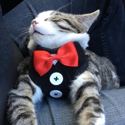 TrendSpirit's profile picture. 