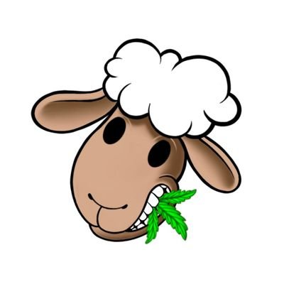 GreensheepCo's profile picture. Graze & Blaze
Purveyors of green
instagram: @green_sheep_co
facebook: http://GreensheepCo
Private Cannabis club - +27676749464