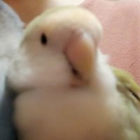 mero (@mmmluckymmm) 's Twitter Profile
