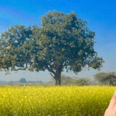 slavebob123's profile picture. Real man