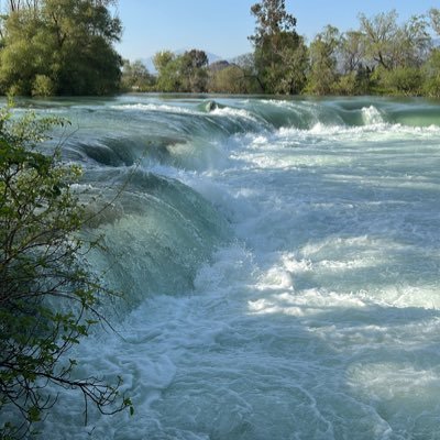 ___rosiieee's profile picture. 