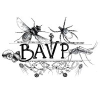 British Association for Veterinary Parasitology (@bavet_parasitol) 's Twitter Profile Photo British Association for Veterinary Parasitology (@bavet_parasitol) 's Twitter Profile Photo