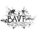 British Association for Veterinary Parasitology (@BAVet_Parasitol) Twitter profile photo