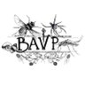 BAVet_Parasitol's profile picture. The BAVP aim to encourage discussion and collaboration between researchers, vets and fellow professionals interested in veterinary parasitology