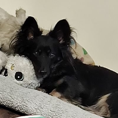 Yoitexx's profile picture. 🌱💍🍑🌈🐶29
any pronouns