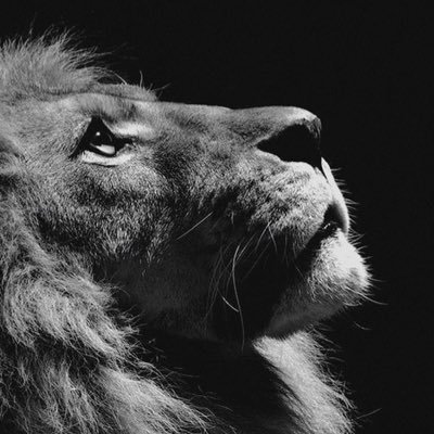 FHAG_'s profile picture. ستهدينا الحياة اضواء في آخر النفق.