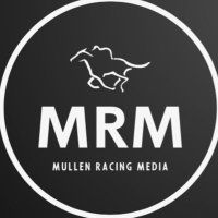 MRM_Media(@MRMMedia7) 's Twitter Profile Photo