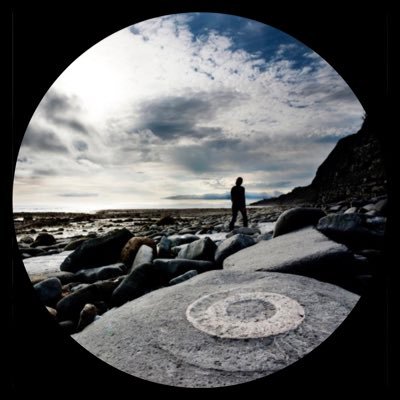 solilunestelle's profile picture. Homo sapiens sapiens