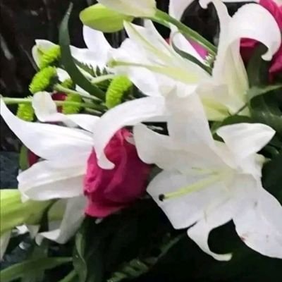 bdw96918536's profile picture. 