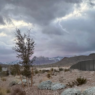 KJVNCAPS's profile picture. LV